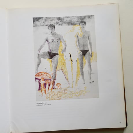 SIGMAR POLKE