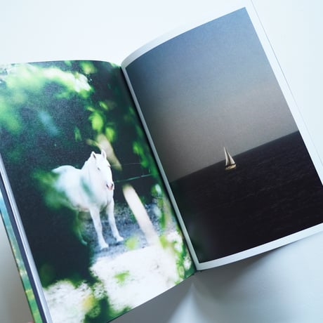 Yushi Arimura  Ambient Reflections