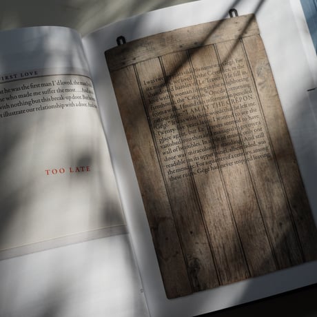 CATALOGUE RAISONNÉ OF THE UNFINISHED by Sophie Calle