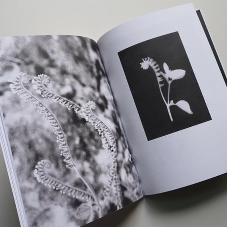 Jochen Lempert - Local Ecology KASTELLORIZO