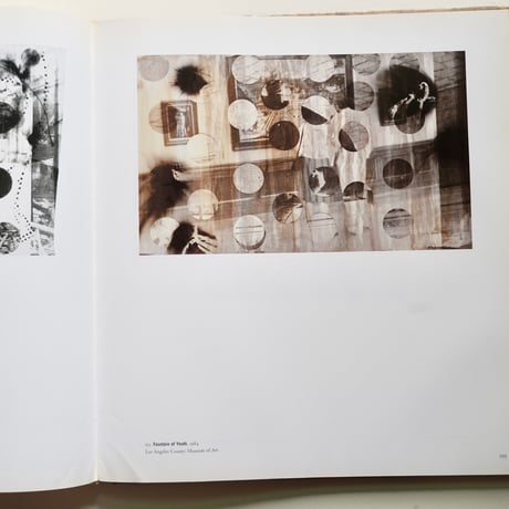 SIGMAR POLKE