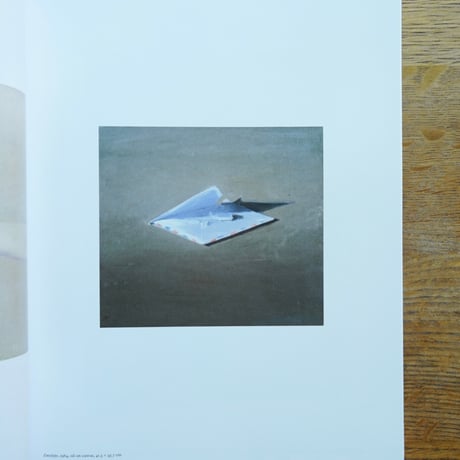 Vija Celmins