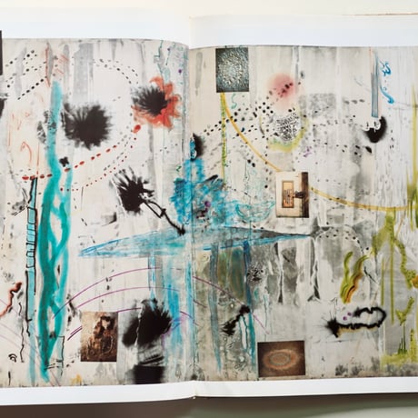 SIGMAR POLKE