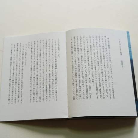 佐内正史　写真がいってかえってきた