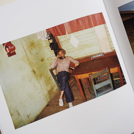 William Eggleston - For Now