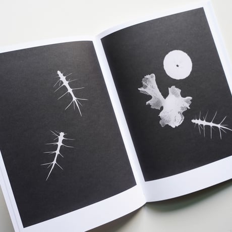 Jochen Lempert - Local Ecology KASTELLORIZO