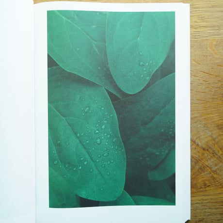 YOSHIHIKO UEDA 上田義彦　ー  MIES VAN DER ROHE　[古書]