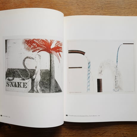 David Hockney Etchings and Lithographs [古書]