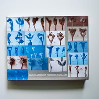 KARL BLOSSEFELDT WORKING COLLEGES [古書]
