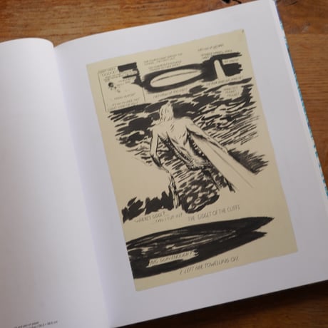 Point Break: Raymond Pettibon, Surfers and Waves