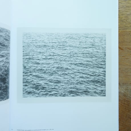 Vija Celmins