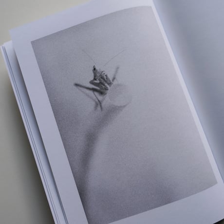 Jochen Lempert - Local Ecology KASTELLORIZO