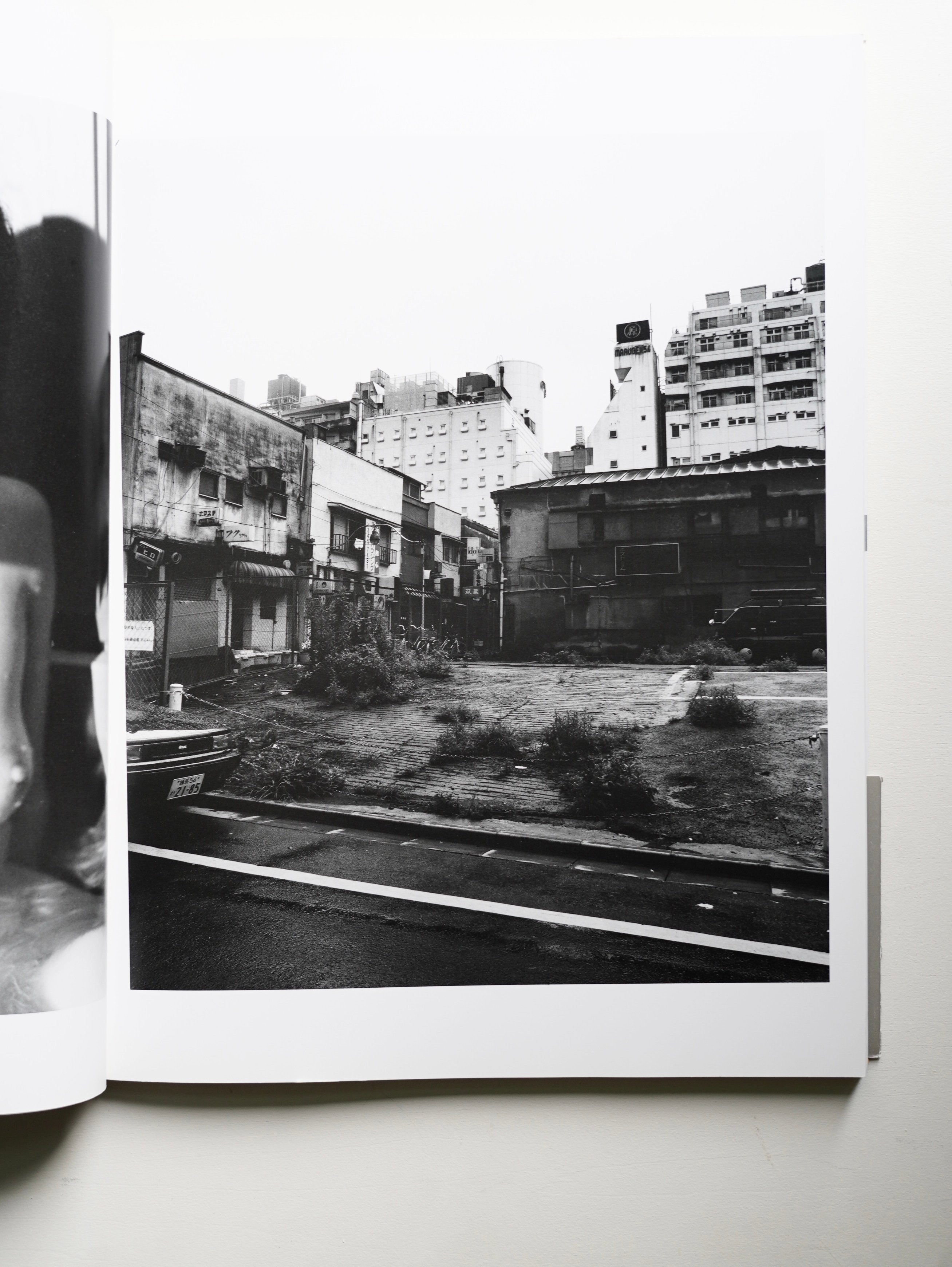 荒木経惟 Nobuyoshi Araki - TOKYO NUDE (古書) | Iso Books