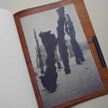 Mark Manders, Roger Willems / The Images of Luis Barragán