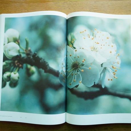 YOSHIHIKO UEDA 上田義彦　ー  MIES VAN DER ROHE　[古書]