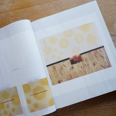 Alec Soth  GATHERED LEAVES ANNOTATED