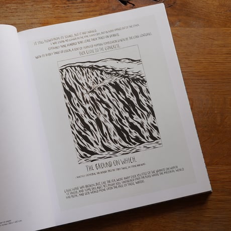 Point Break: Raymond Pettibon, Surfers and Waves