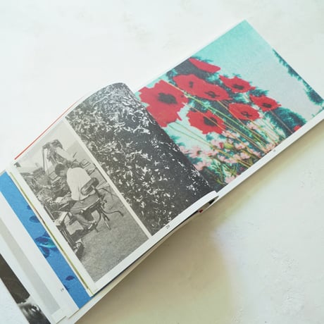 Most Beautiful Swiss Books 2024