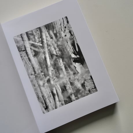 Daniel Shea - Distribution