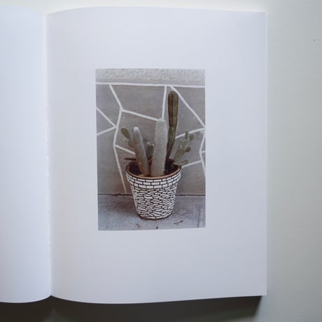LUIGI GHIRRI ルイジ・ギッリ Colazione sull'Erba（草上の昼食）