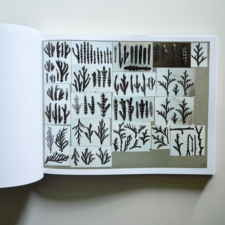 KARL BLOSSEFELDT WORKING COLLEGES [古書]