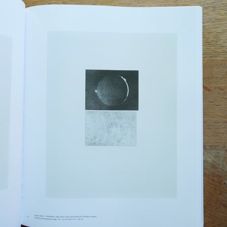 Vija Celmins