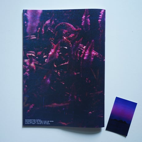 Yushi Arimura  Ambient Reflections