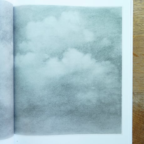 Vija Celmins