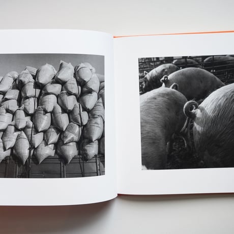 A long interview with Kozo Miyoshi