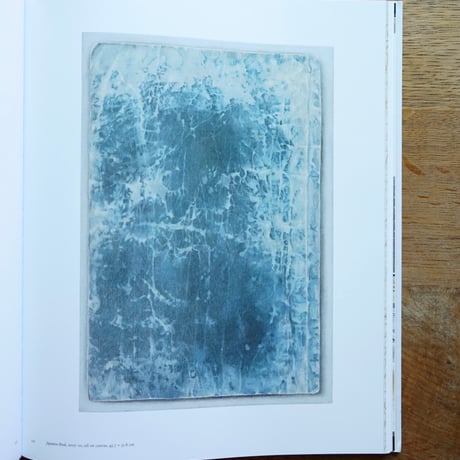 Vija Celmins