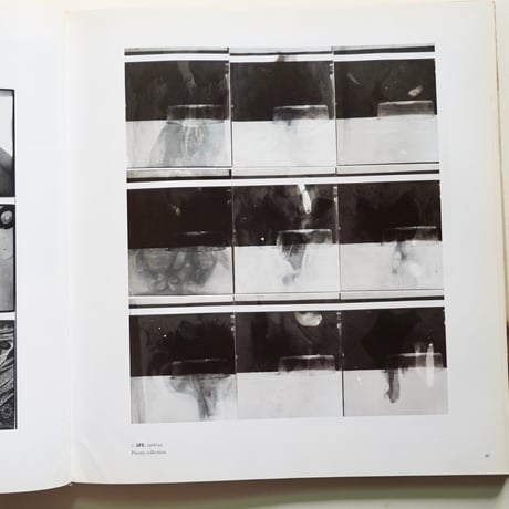SIGMAR POLKE