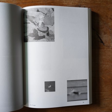 Anne Geene & Arjan De Nooy　Ornithology