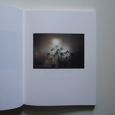 LUIGI GHIRRI ルイジ・ギッリ Colazione sull'Erba（草上の昼食）