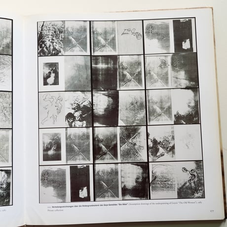 SIGMAR POLKE