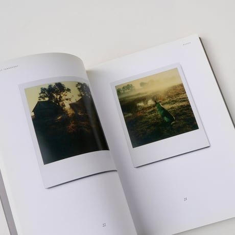 Instant Light : Tarkovsky Polaroids - Andrey Tarkovsky (古書）