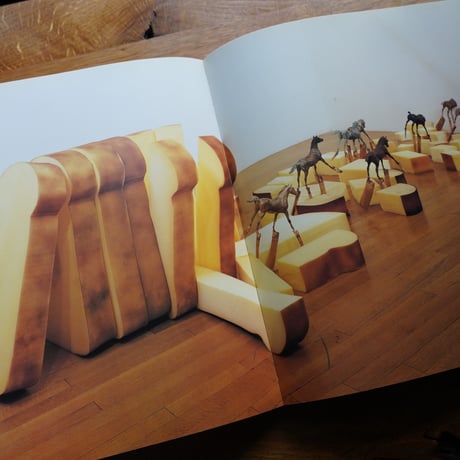 DENNIS OPPENHEIM  デニス・オッペンハイム[古書]