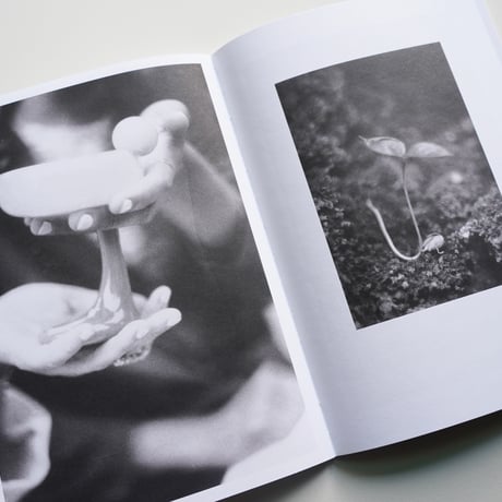 Jochen Lempert - Local Ecology MOULIN DES RIBES