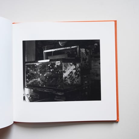 A long interview with Kozo Miyoshi