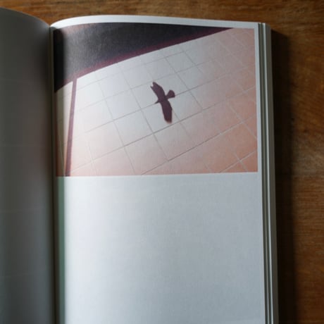 Anne Geene & Arjan De Nooy　Ornithology