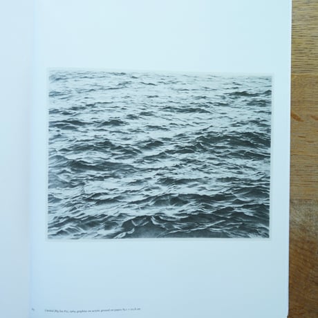 Vija Celmins