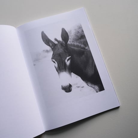 Jochen Lempert - Local Ecology KASTELLORIZO