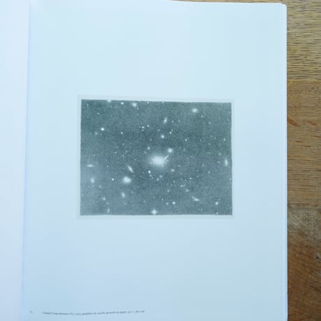 Vija Celmins
