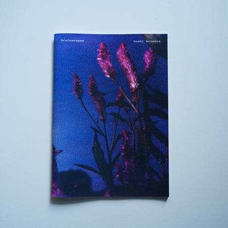 Yushi Arimura  Ambient Reflections