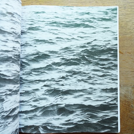 Vija Celmins