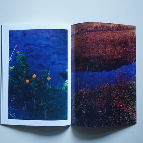 Yushi Arimura  Ambient Reflections