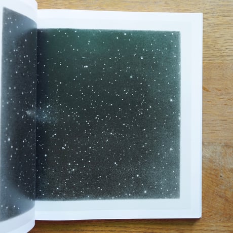 Vija Celmins