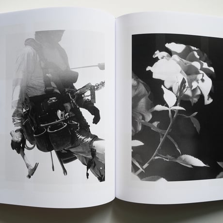 Daniel Shea - Distribution