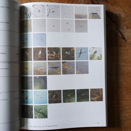 Anne Geene & Arjan De Nooy　Ornithology