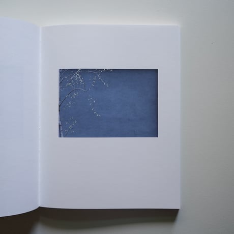 LUIGI GHIRRI ルイジ・ギッリ Colazione sull'Erba（草上の昼食）