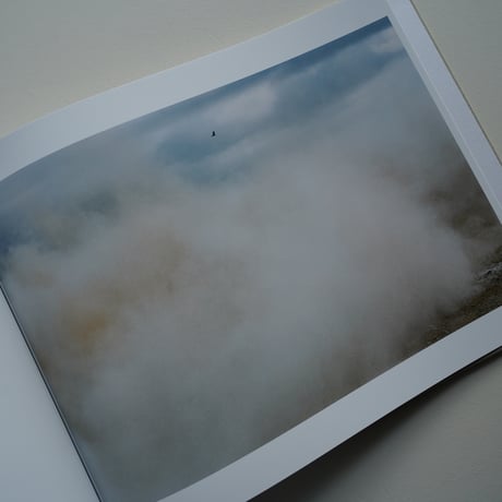 畠山直哉 Naoya Hatakeyama - A BIRD blast #130